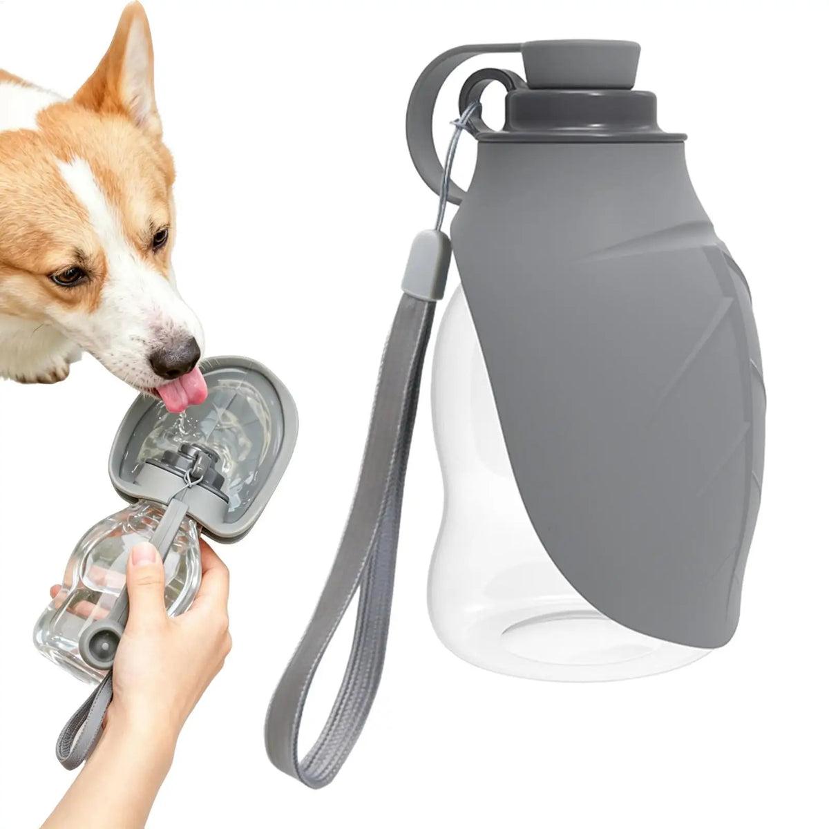 Pet Portable Water Bottle for Small Medium Dogs Cats