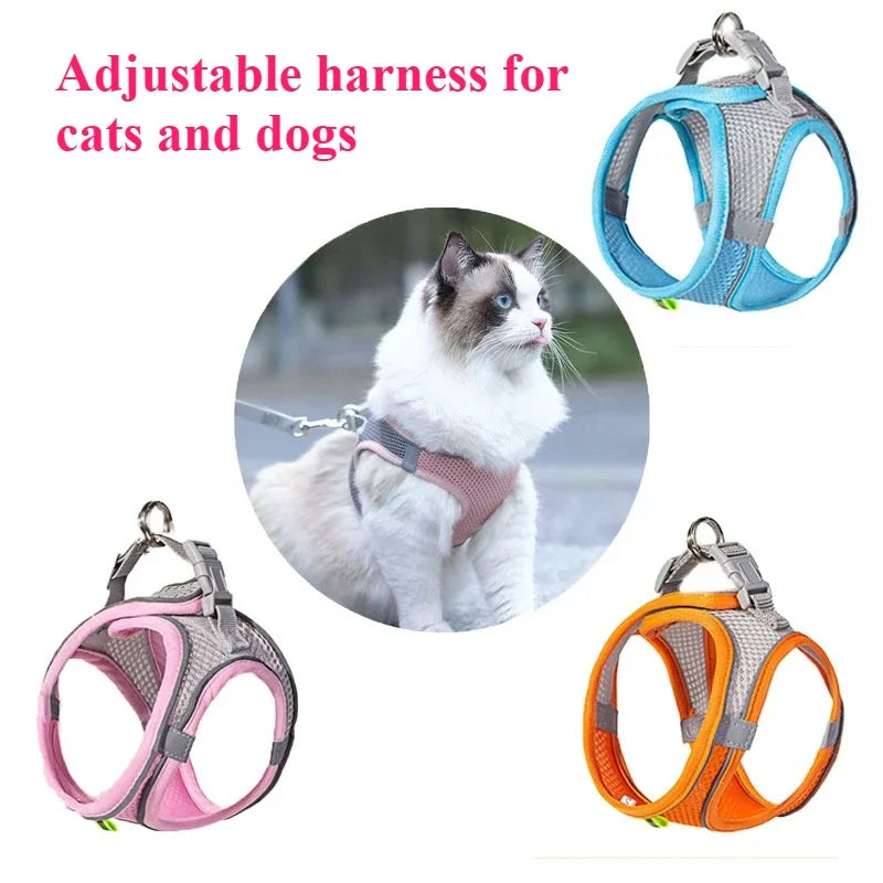 Pet Treat Dispenser-Interactive Dog Toys